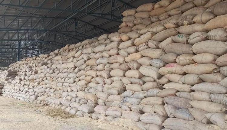 దండిగా ధాన్యం కొనుగోళ్లు