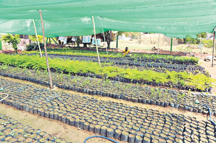 లక్ష్యం.. 74 లక్షలు