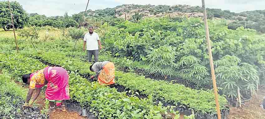 అస్మత్‌పూర్‌లో అభివృద్ధి పరుగు