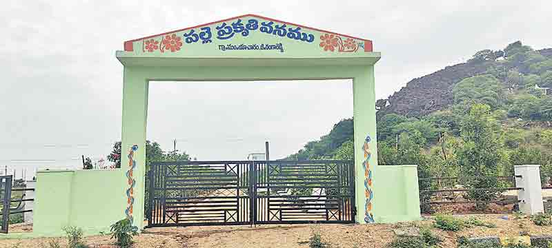 చిట్టడవిలా పల్లెప్రకృతి వనం