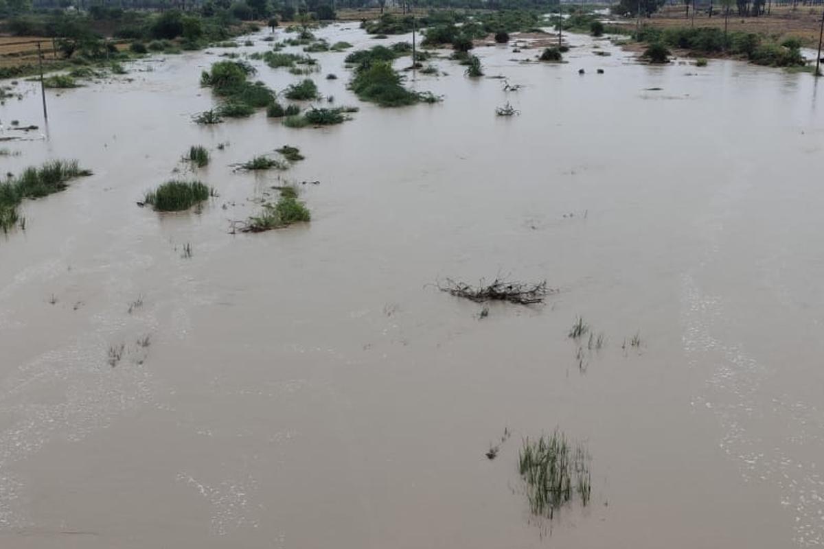 ఉమ్మడి నల్లగొండ జిల్లావ్యాప్తంగా విస్తారంగా వర్షాలు
