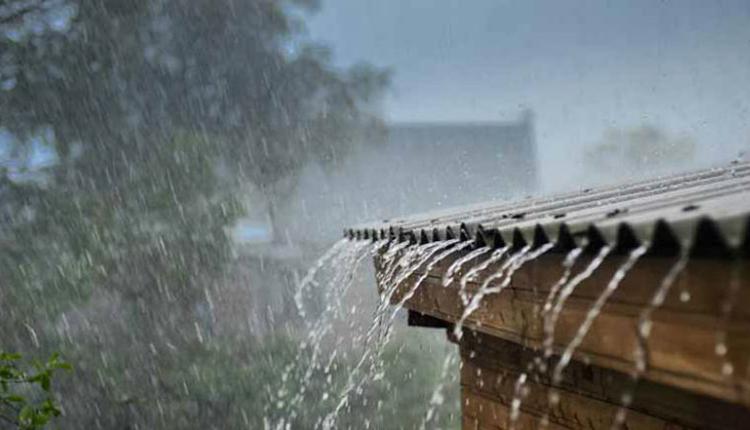 రుతుపవనాలతో సాధారణ వర్షపాతం : ఐఎండీ