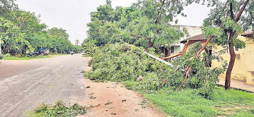 జోరుగా వర్షం..