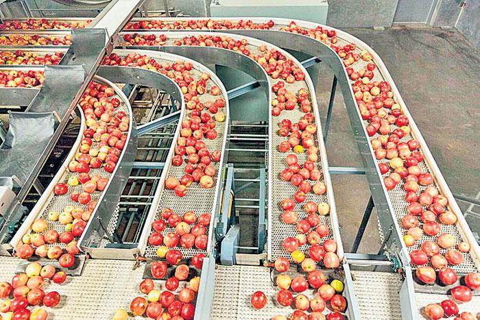 ఫుడ్‌ పార్కులు.. పుష్కల అవకాశాలు