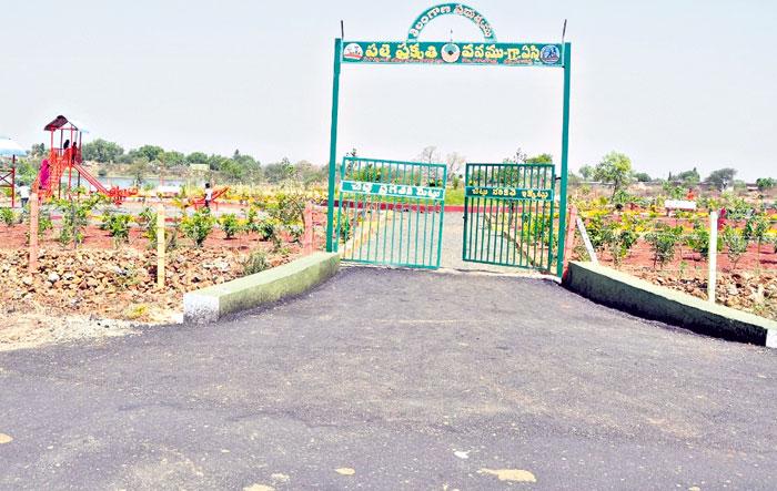 ఏస్గిలో వేగిరంగా అభివృద్ధి