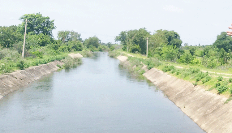 మా‘నీటి’ పరవళ్లు