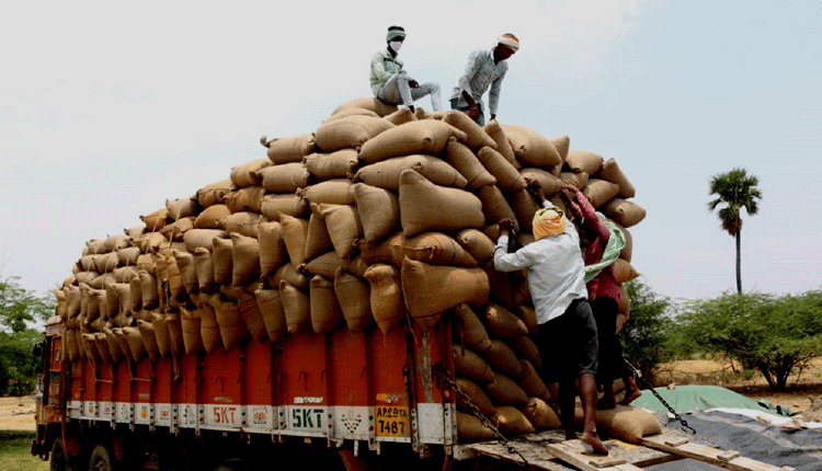సిరిసిల్ల దాన్యసిరుల ఖీల్లా 650 కోట్ల పంట