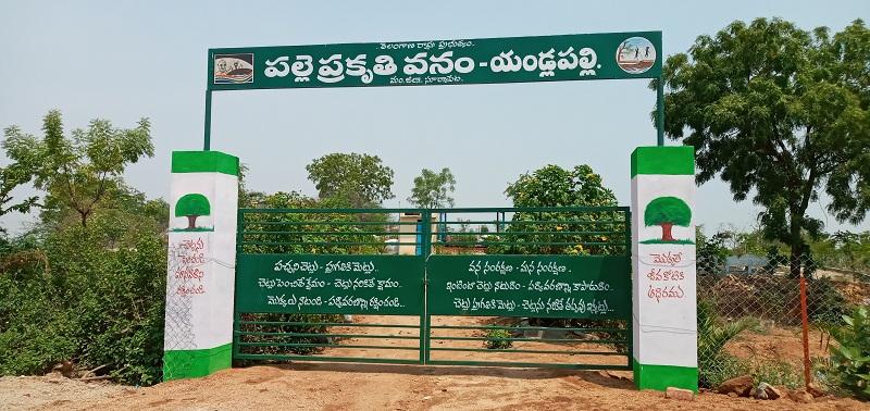 యండ్లపల్లి యమ మారింది..