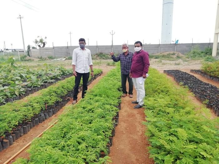 హరితహారంలో భాగస్వాములవ్వాలి : ఎంపీపీ