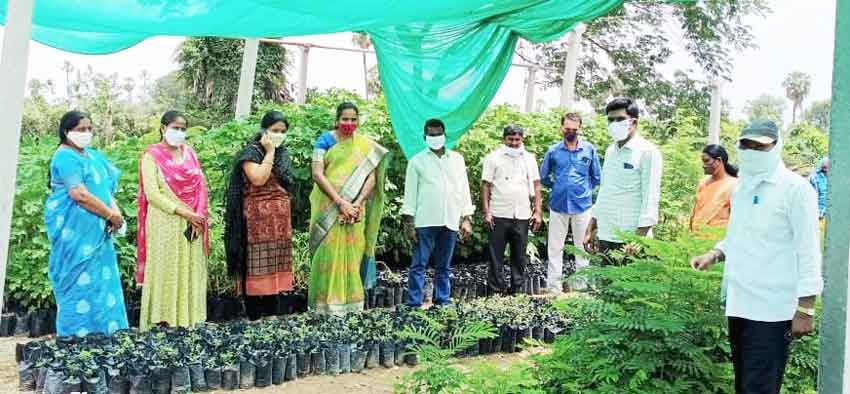 పరిసరాల పరిశుభ్రతతో ఆరోగ్యం