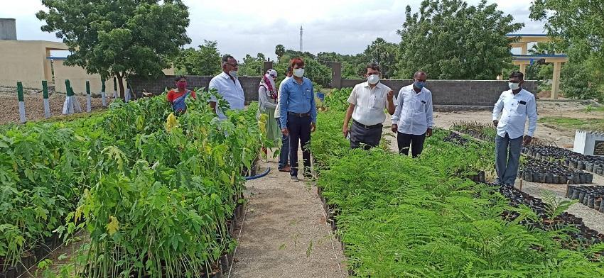 హరితహారం లక్ష్యాన్ని అధిగమించాలి