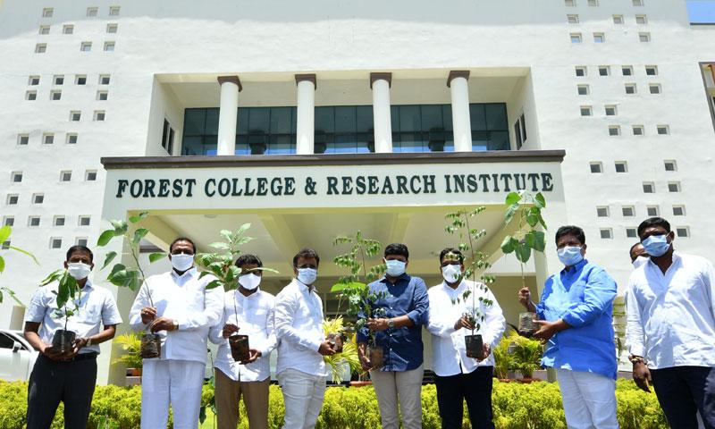 ఊరూరా పర్యావరణ పండుగ