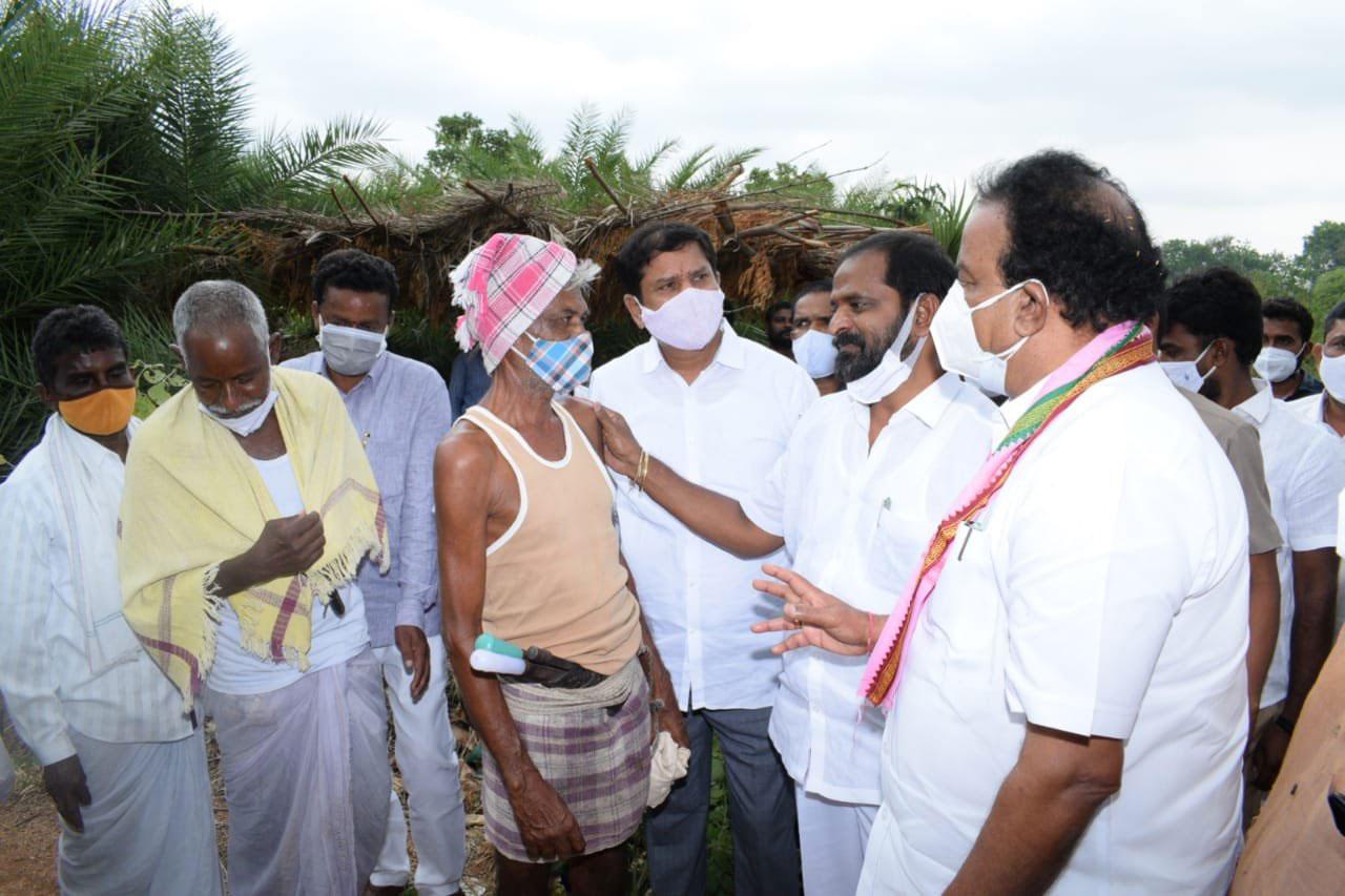 ఈత – తాటి వ‌నాల‌ను ప‌రిశీలించిన మంత్రి శ్రీనివాస్ గౌడ్‌