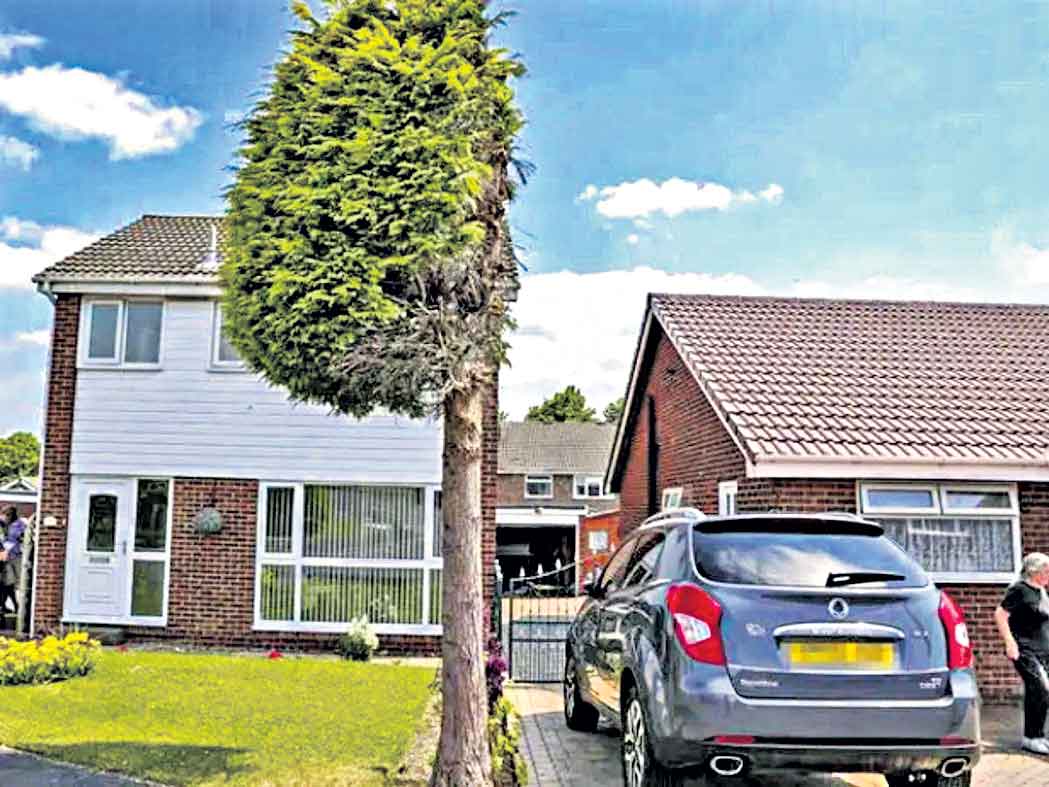 నా వైపు చెట్టు మీద పిట్ట.. వాలొద్దని సగానికి కొట్టా!