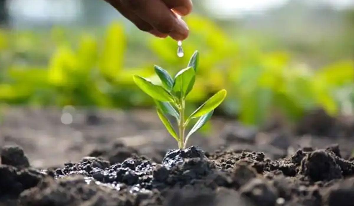 కరోనాతో ఆక్సిజన్‌ అందక భార్య మృతి.. జ్ఞాపకార్థం 450 మొక్కలు నాటిన భర్త