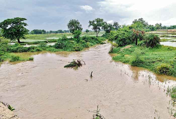 పోంగిన వాగులు