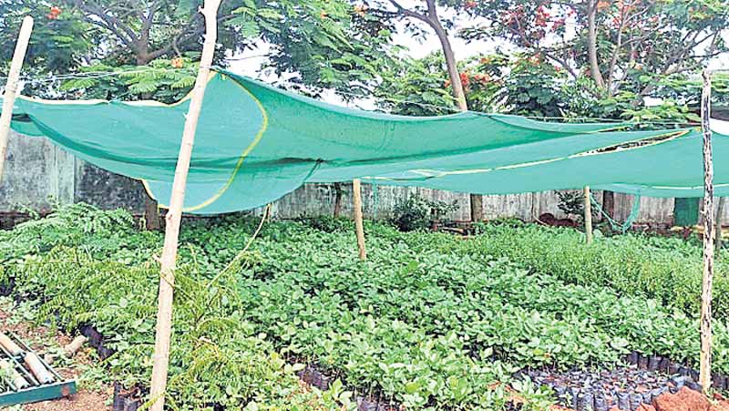 అభివృద్ధిలో తిరుగులేని తిర్మలాపూర్‌