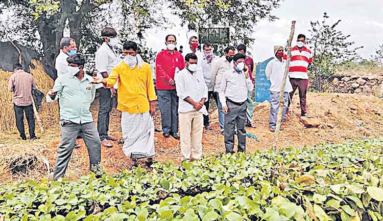 లక్ష్యం మేరకు మొక్కలు సిద్ధంగా ఉంచాలి