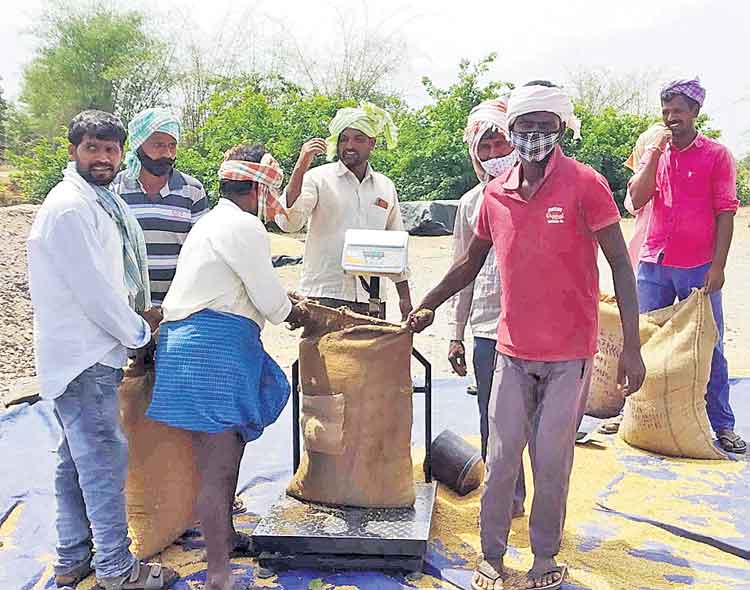 సిరుల యాసంగి