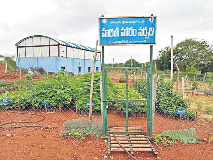 హరితహారానికి సర్వం సిద్ధం