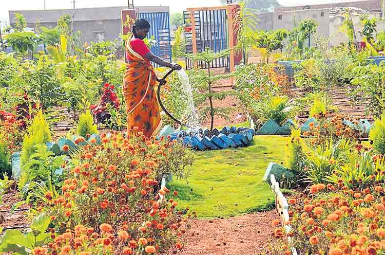 అభివృద్ధి దిశగా గ్రామాలు