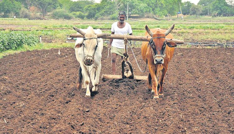 వానాకాలం.. సాగుకు సన్నద్ధం
