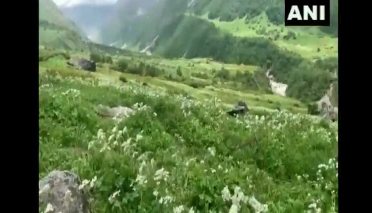 విర‌బూసిన ఈ విరులు క‌నువిందు చేసే సిరులు.. వీడియో