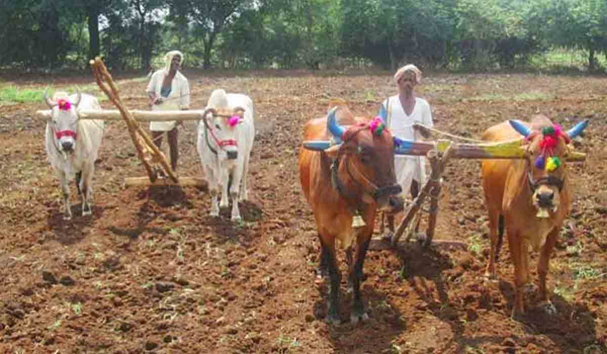 అన్న‌దాత‌లంద‌రికీ ఏరువాక పౌర్ణ‌మి శుభాకాంక్ష‌లు : ఉప రాష్ట్ర‌ప‌తి
