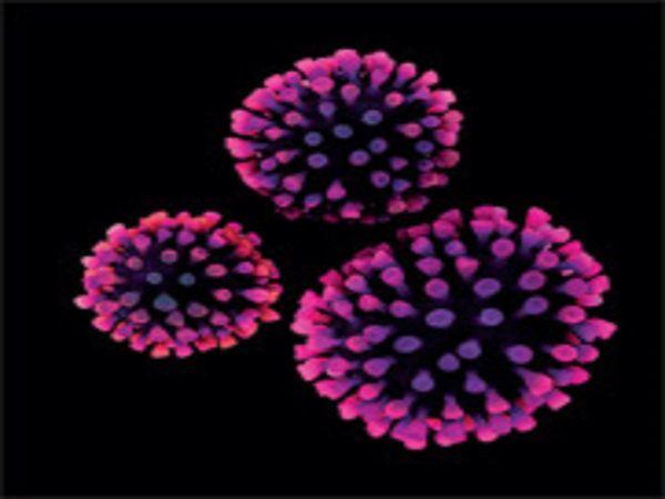 ఇలా చేస్తే థ‌ర్డ్ వేవ్ త‌లెత్త‌దు..