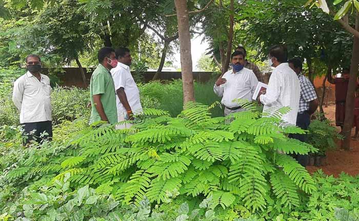 హరితహారానికి మొక్కలను సిద్ధంగా చేయాలి
