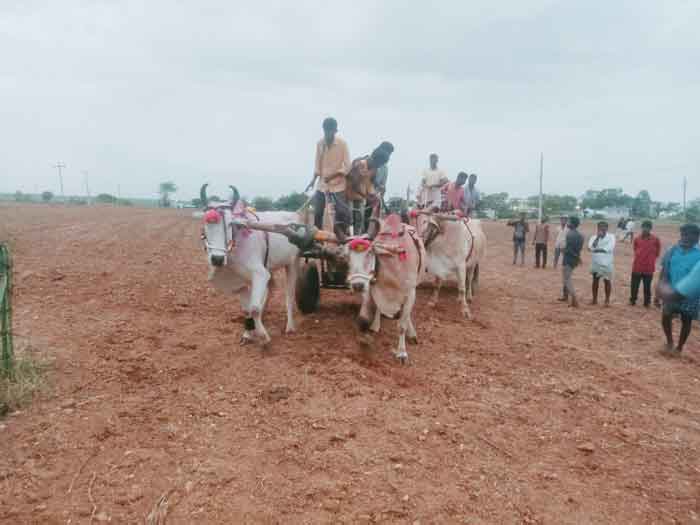 ఘనంగా ఏరువాక పండుగ