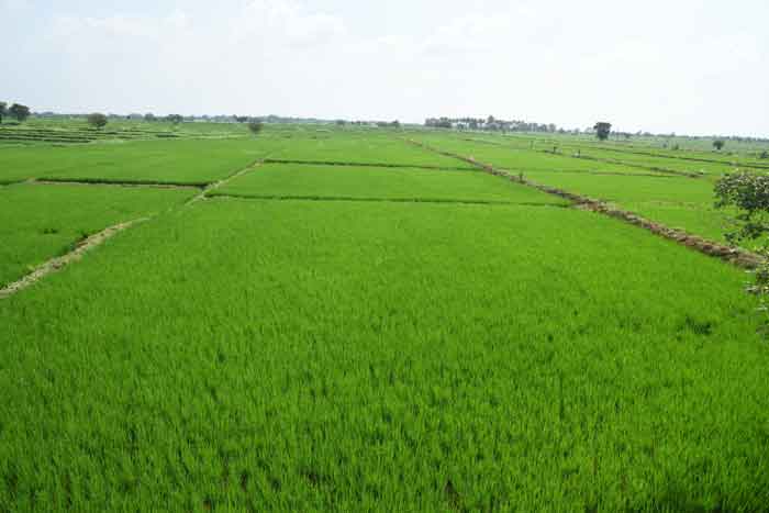 కష్టం, ఖర్చురెండూ తక్కువే..