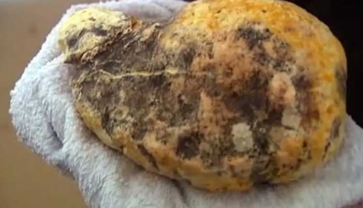 తిమింగ‌ళం క‌క్కిన ప‌దార్థానికి రూ.10 కోట్ల‌ట‌..!