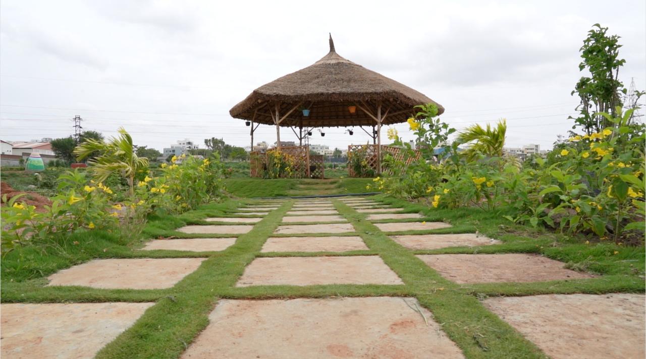 హైదరాబాద్ లో కొత్త పర్యాటక ప్రాంతంగా మారిన ‘మూసీ నది’