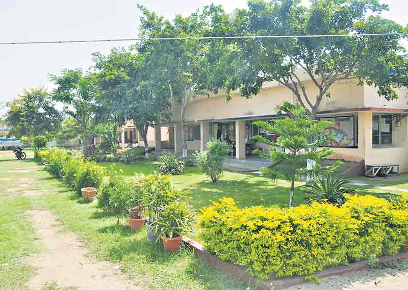 బహుముఖ ప్రజ్ఞాశాలికి ‘వందేండ్ల’వందనాలు