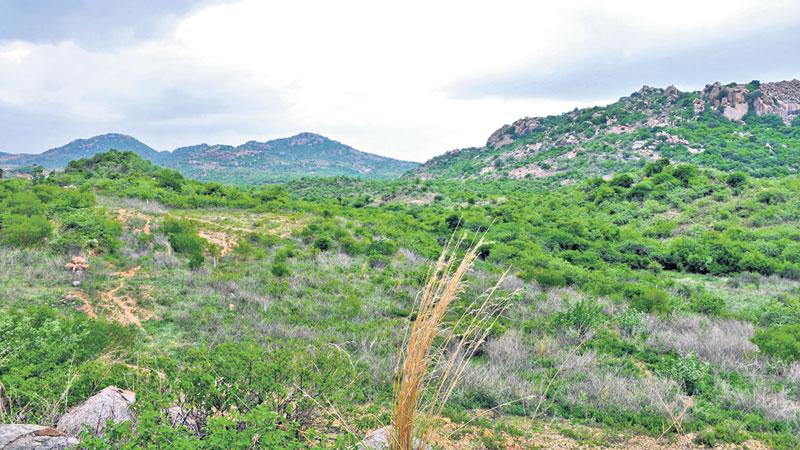 ఆహార ఉత్పత్తులకు అందలం