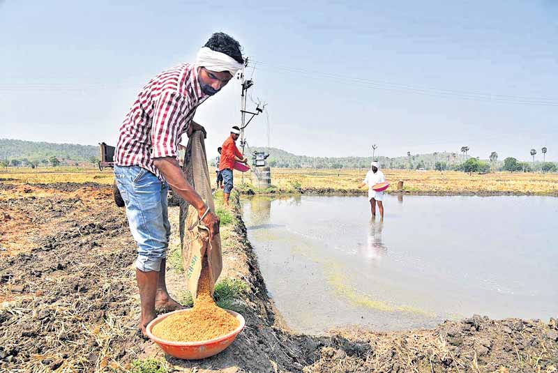 పంట పెట్టుబడి సాయంతో రైతు కుటుంబాలకు భరోసా