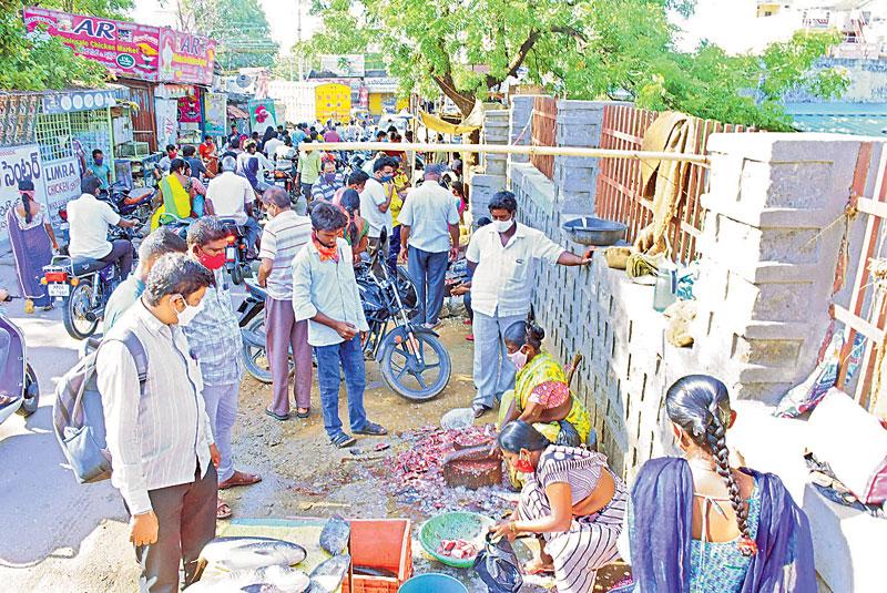 మృగశిర మురిపెం