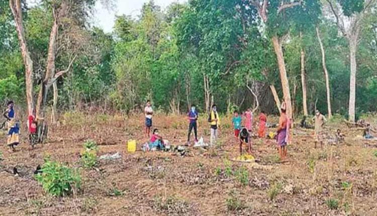 అట‌వీని ఐసోలేష‌న్ కేంద్రంగా మార్చుకున్న గ్రామ‌స్తులు