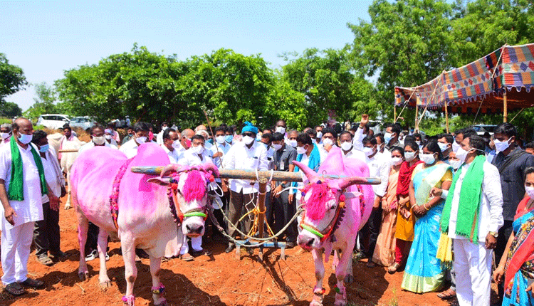 ఏరువాకను ప్రారభించిన మంత్రి పువ్వాడ