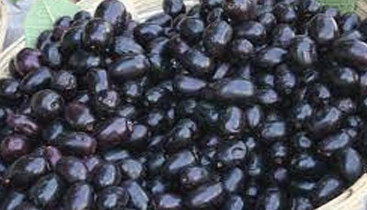 వర్షాకాలం ఈ పండ్లు తింటే ఫుల్‌ ఇమ్యూనిటీ..