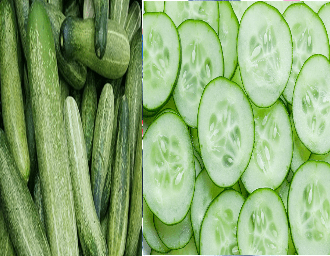 కీరదోసకాయ ప్రయోజనాలు తెలుసా…?