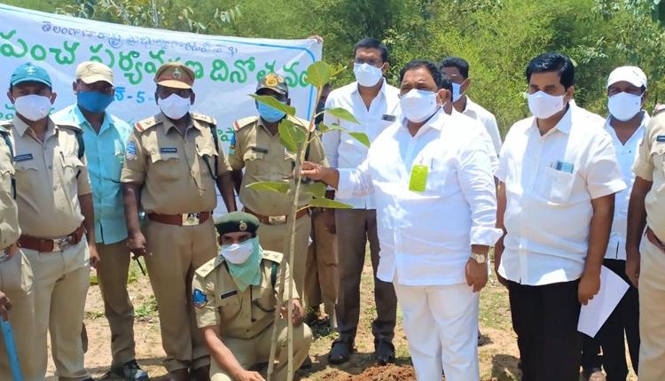 జీవకోటికి మొక్కలే ప్రాణాధారం