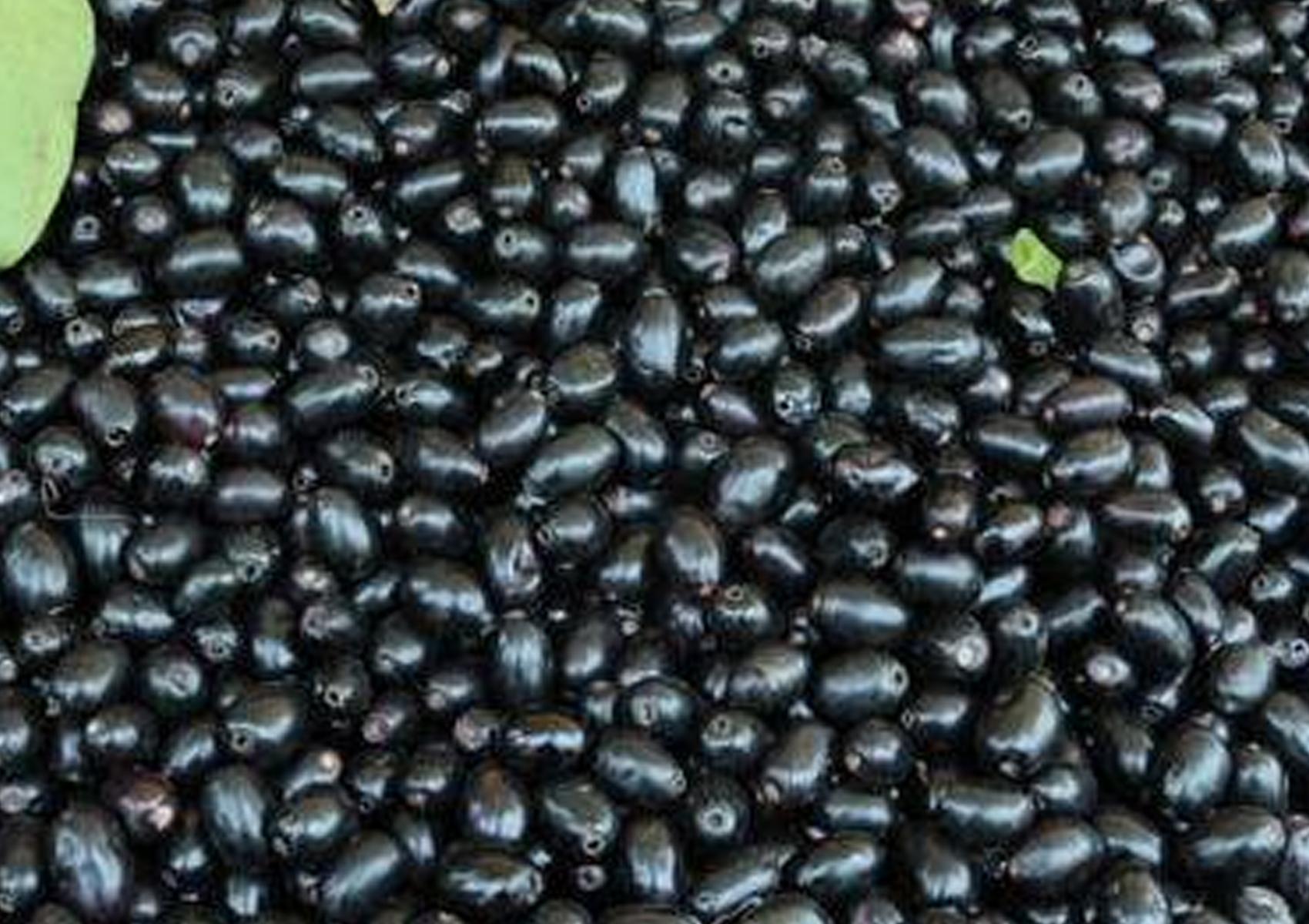 రోగ‌నిరోధ‌క‌శక్తి పెర‌గాలంటే వ‌ర్షాకాలంలో ఈ పండ్లు తినాల్సిందే..!!