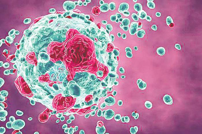 హెల్త్‌ బిట్స్‌