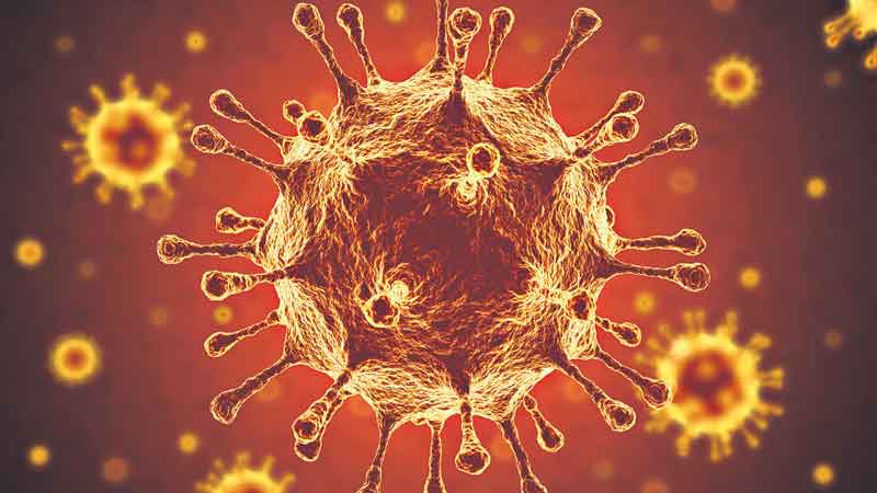 కరోనా డాటా తొలగింపు!