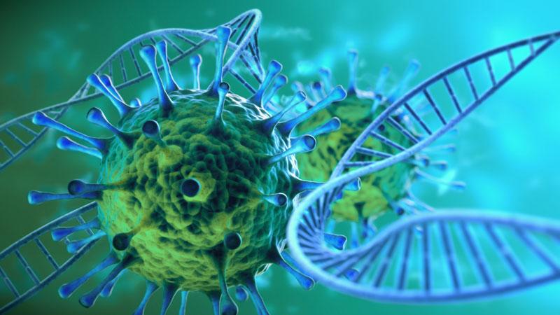 మహిళలో 32 మ్యుటేషన్లు!