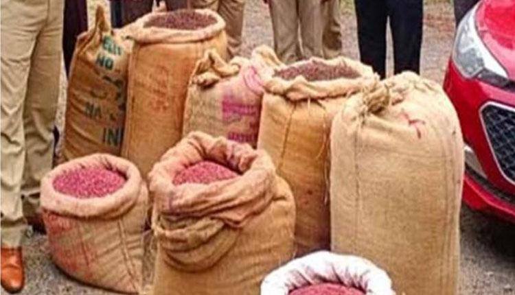 సూర్యాపేటలో భారీగా పట్టుబడ్డ నకిలీ విత్తనాలు