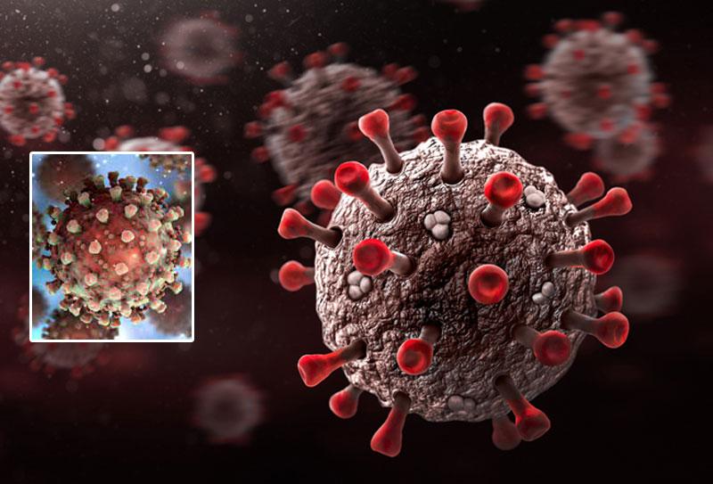 డెల్టా పెరిగింది.. కప్పా తగ్గింది!