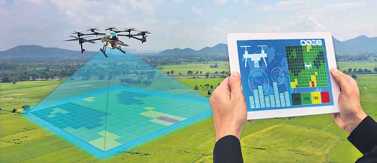 ఏఐ వ్యవ‘సాయం’!